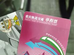 -大龙山(地铁站)