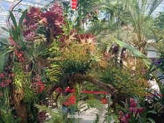 -国家植物园南园