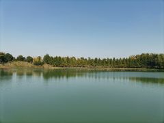 -南湖湿地公园