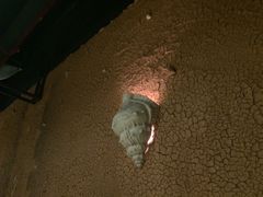 -大碗厨 25年老字号 现炒湘菜(四季天地店)