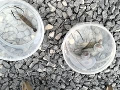 -DGE季风钓虾营地·团建·聚会