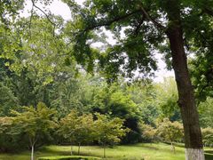 -棒棰岛宾馆景区