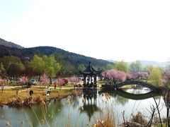 -石塘人家