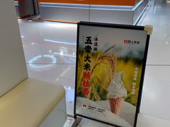 -野人先生现做冰淇淋(北京王府井东方新天地店)