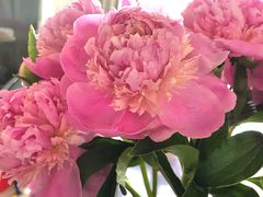 -循礼门鲜花花市(武汉循礼门店)