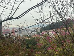 -小南山公园