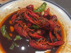 -杨氏青龙虾·羊蝎子(珠江路店)