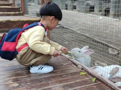 -栾川竹海野生动物园
