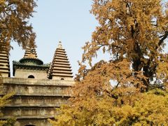 -北京石刻艺术博物馆(五塔寺)