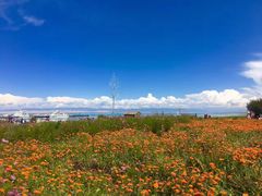 -青海湖国家重点风景名胜区