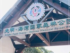 -上海海湾国家森林公园