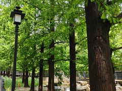 -白水寺森林公园