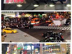-涩谷区