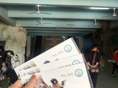 -泉州海丝野生动物世界