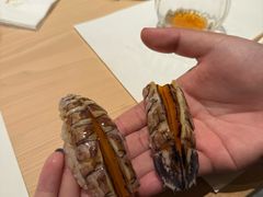 -嶺寿司
