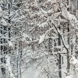 日本青森 | 比北海道更近的青森春天滑雪场