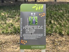 -绿堤公园