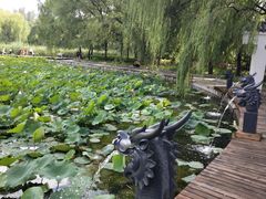 -青城公园