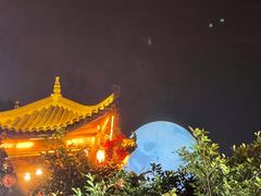 -巴倒烫陆派火锅山庄(南山总店)