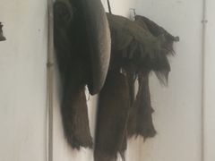 -韶山毛泽东同志故居