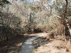 -青龙山国家森林公园