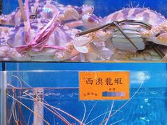 -好彩海鲜火锅饭店(银河百老汇店)