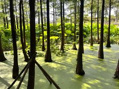 -云龙湖旅游景区
