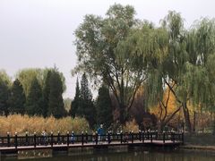 -古塔公园