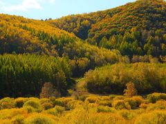 -塞罕坝国家级自然保护区