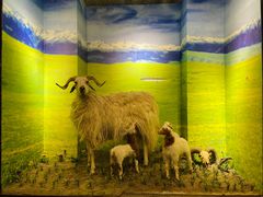 -清真·益鑫羊肉手抓馆(花园北街店)