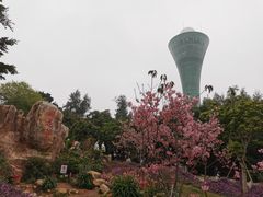 -狐尾山公园