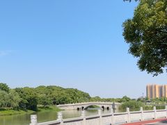 -八大山人梅湖景区