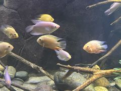 -重庆欢乐海底世界