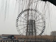-太湖湖滨国家湿地公园-停车场