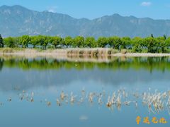 -野鸭湖国家湿地公园