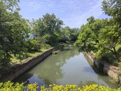 -羊山湖公园