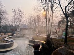 -东海森林温泉度假酒店