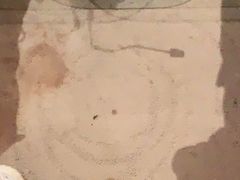 -洛阳国际大酒店