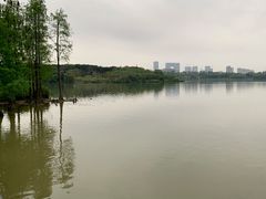 -海珠湖公园