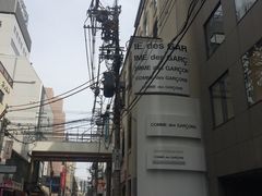 -川久保玲(大阪店)