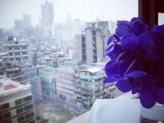 -澳门十六浦索菲特大酒店