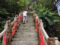 -塔云山