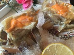 -渔娘渔家丹东海鲜(东直门店)