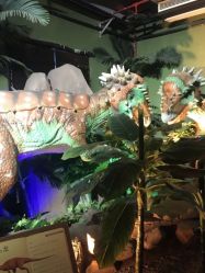 -恐龙探索乐园(磁器口店)