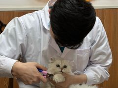 -宠福鑫动物医院·动物疾病诊疗中心(天通苑店)