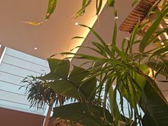 -桂满陇·杭州饭店(清河万象店)