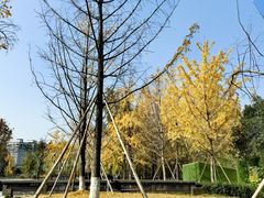 -平安桥天主教堂