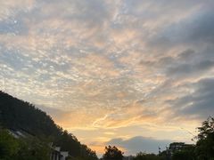 -南沙蒲洲花园