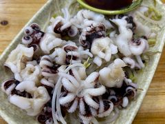 芥末海菊花-贞姨美食·老字号海鲜大排档