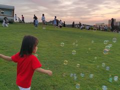-光明小镇欢乐田园